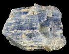 Vibrant Blue Kyanite Crystal - Brazil #56949-1